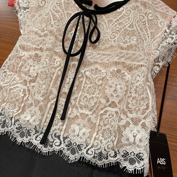 ABS by Allen Schwartz Lace Taffeta dress - Picture 6 of 10